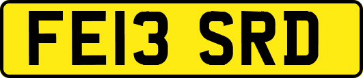 FE13SRD
