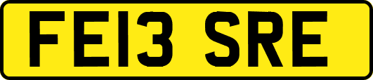 FE13SRE