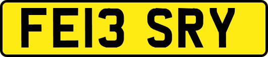 FE13SRY