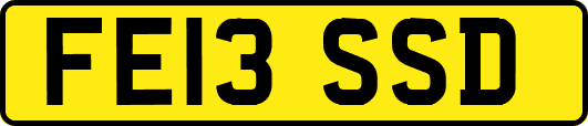 FE13SSD