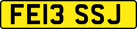 FE13SSJ