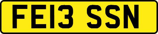 FE13SSN
