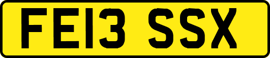 FE13SSX