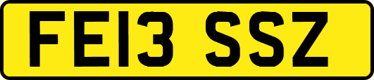 FE13SSZ
