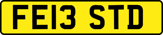 FE13STD