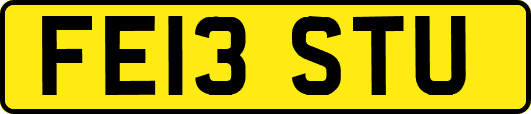 FE13STU