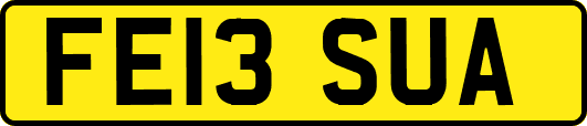 FE13SUA