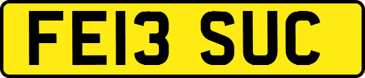 FE13SUC
