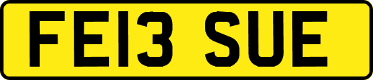 FE13SUE