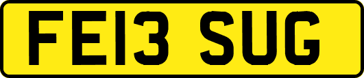 FE13SUG