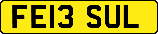 FE13SUL