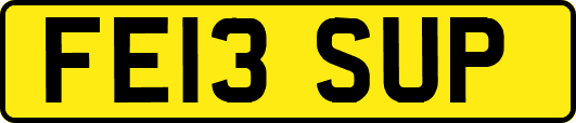 FE13SUP