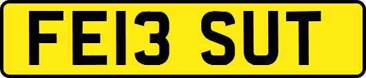 FE13SUT