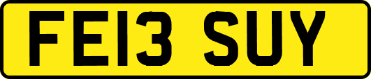 FE13SUY