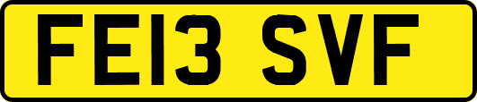 FE13SVF