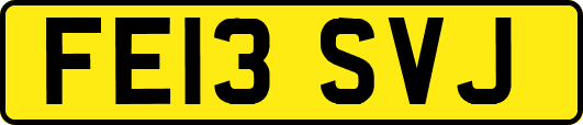 FE13SVJ