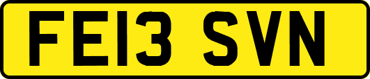 FE13SVN