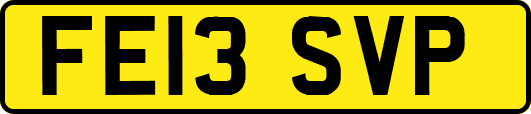 FE13SVP