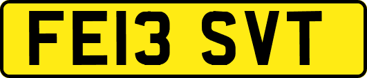 FE13SVT