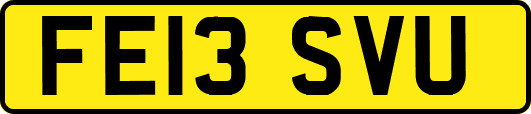 FE13SVU