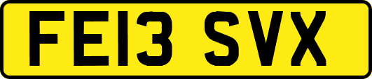 FE13SVX