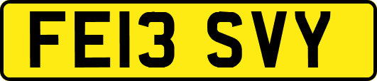 FE13SVY