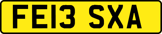 FE13SXA