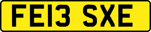 FE13SXE