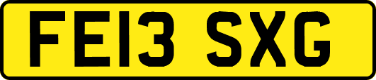 FE13SXG