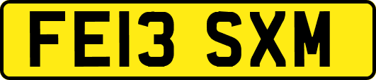 FE13SXM