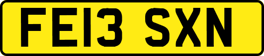 FE13SXN