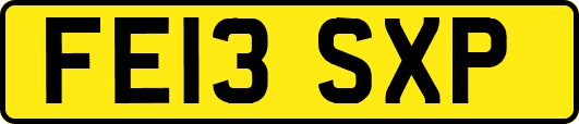 FE13SXP