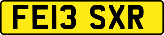 FE13SXR