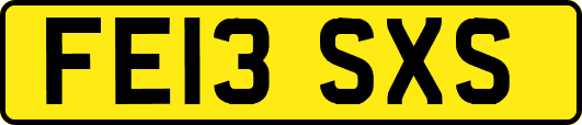 FE13SXS