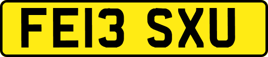 FE13SXU