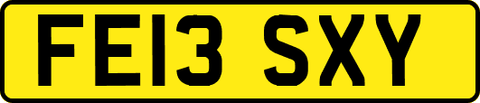 FE13SXY