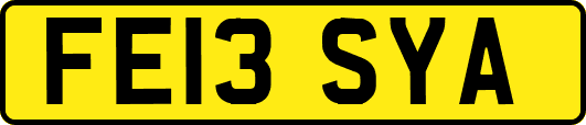 FE13SYA