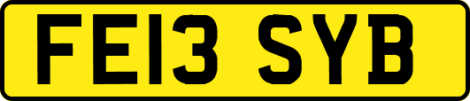 FE13SYB