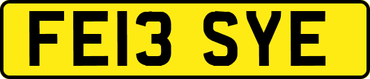FE13SYE