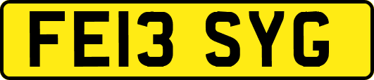 FE13SYG