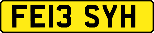 FE13SYH