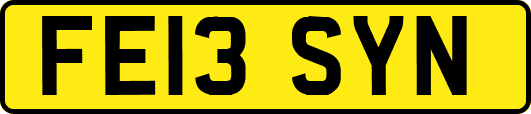 FE13SYN