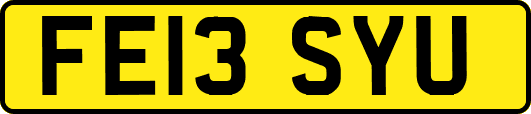 FE13SYU