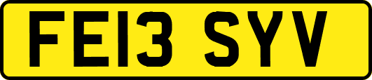 FE13SYV