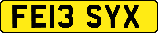 FE13SYX