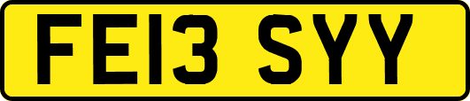 FE13SYY