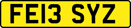 FE13SYZ