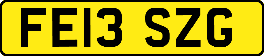 FE13SZG
