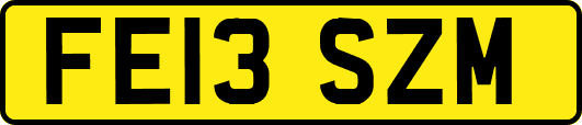 FE13SZM