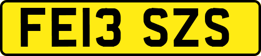 FE13SZS